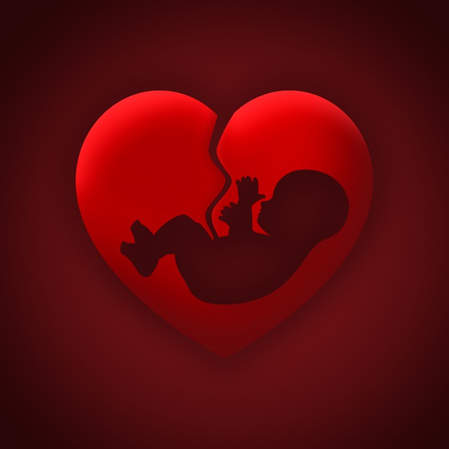 Baby Heart Womb Uterus Abortion  - jeffjacobs1990 / Pixabay