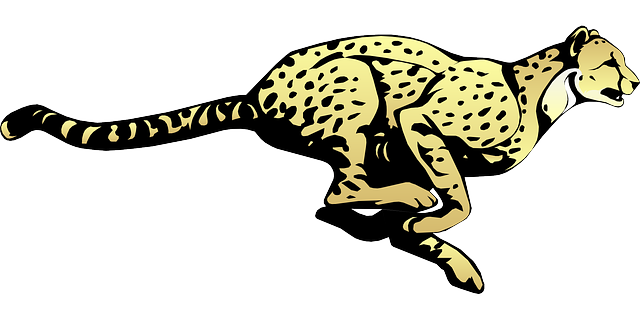 Cheetah Running Speed Animal Fast  - Clker-Free-Vector-Images / Pixabay