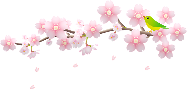Cherry Blossom Bird Branch Petals  - AnnaliseArt / Pixabay