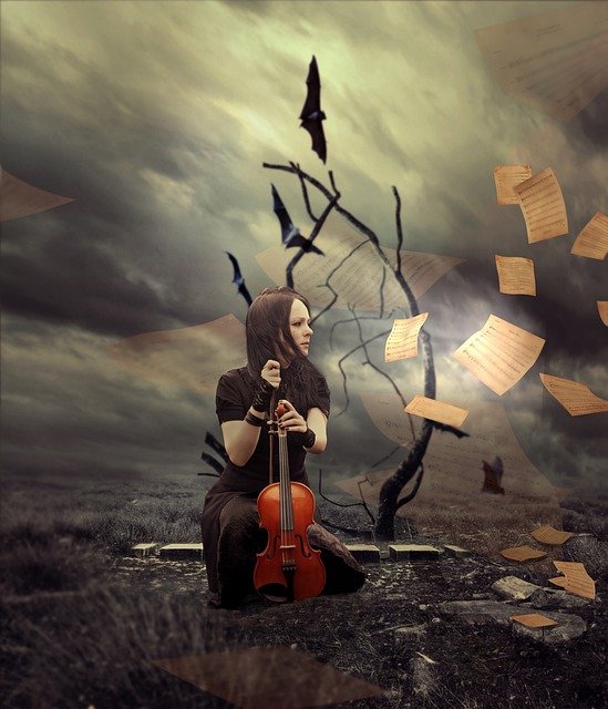 Violinist Fantasy Inspiration  - Syaibatulhamdi / Pixabay