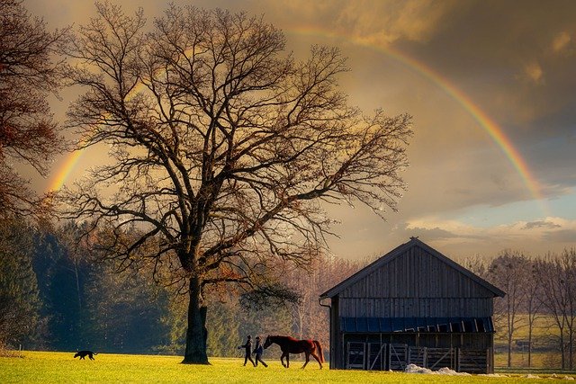 Hut Rainbow Horse Dog Stroller  - fietzfotos / Pixabay
