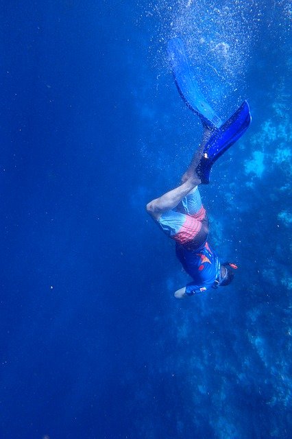 Dive Snorkel Boy Underwater Blue  - BKD / Pixabay