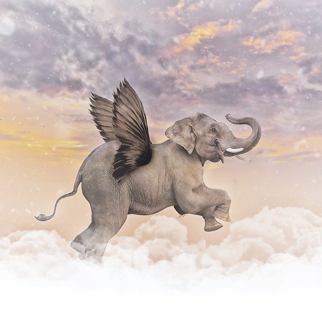 Elephant Wings Fantasy Mammal  - BiancaVanDijk / Pixabay