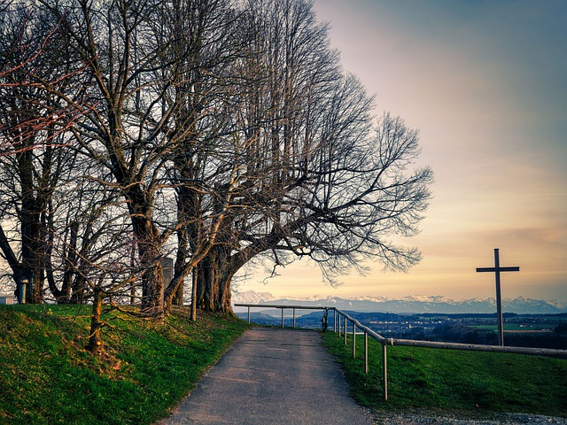 Path Trees Mountains Meadow  - fietzfotos / Pixabay