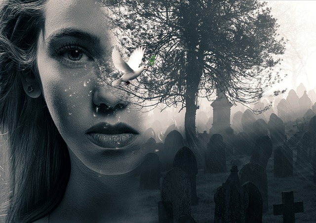 Woman Death Cemetery Cry Sad  - hobim / Pixabay