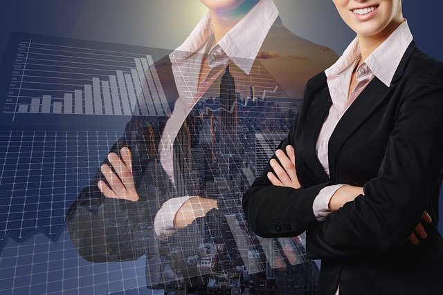 Businesswoman Success Startup  - geralt / Pixabay