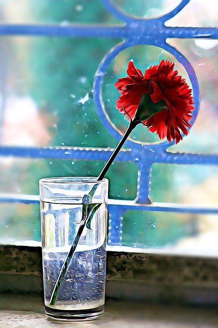 Carnation Graphics Digital Flower  - vargazs / Pixabay