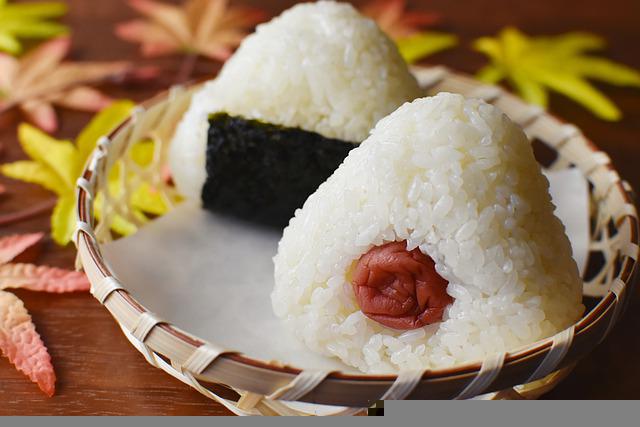 Rice Ball Japanese Cuisine Dish  - subarasikiai / Pixabay