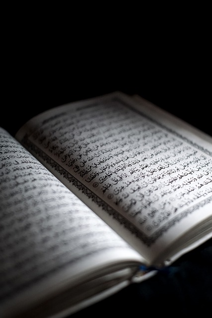 Qur An Arabic Mosleem Holy Book  - ChanFactory / Pixabay